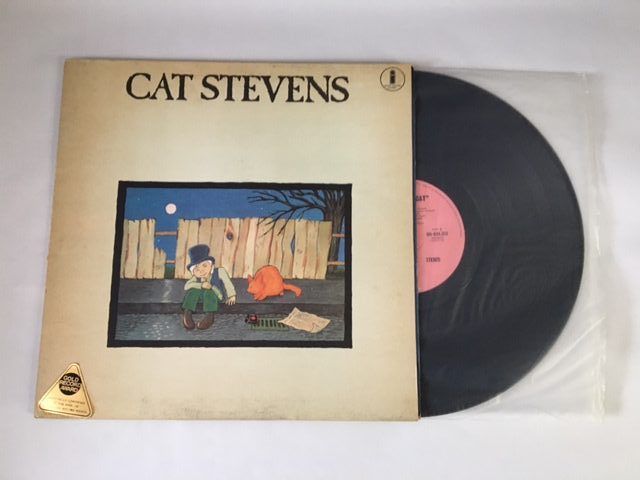 STEVENS CAT - TEASER AND THE FIRECAT