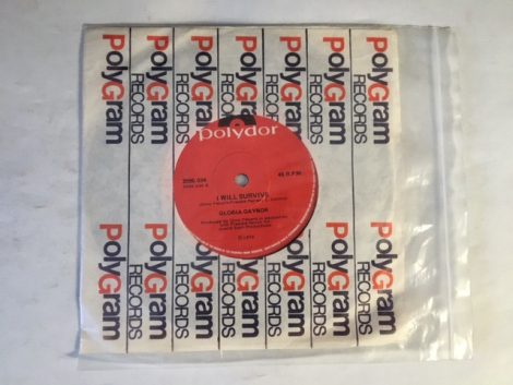 GLORIA GAYNOR I WILL SURVIVE PLEASE BE THERE