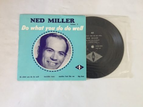 NED MILLER DO WHAT YOU DO WELL (EP)